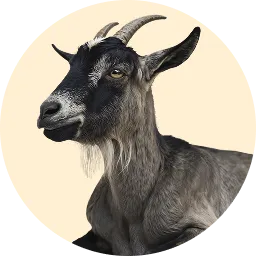 الماعز